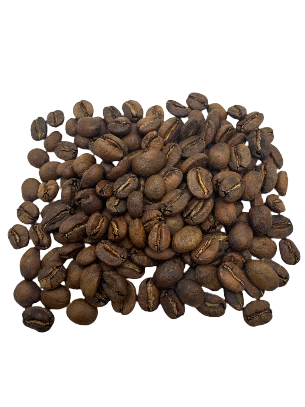 CINNAMON ROLL | DIEGO BERMUDEZ M-03 CASTILLO